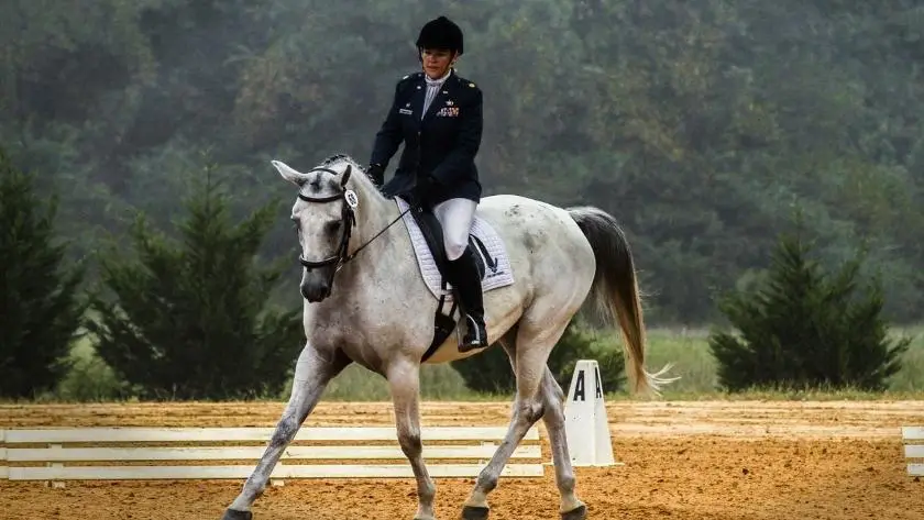 Horse Riding Can Put You At Risk Of Breaking Your Hymen